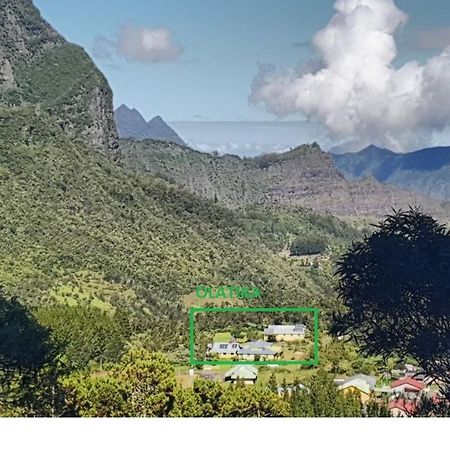 Olatika - Gite Des Cascades Cilaos Kültér fotó