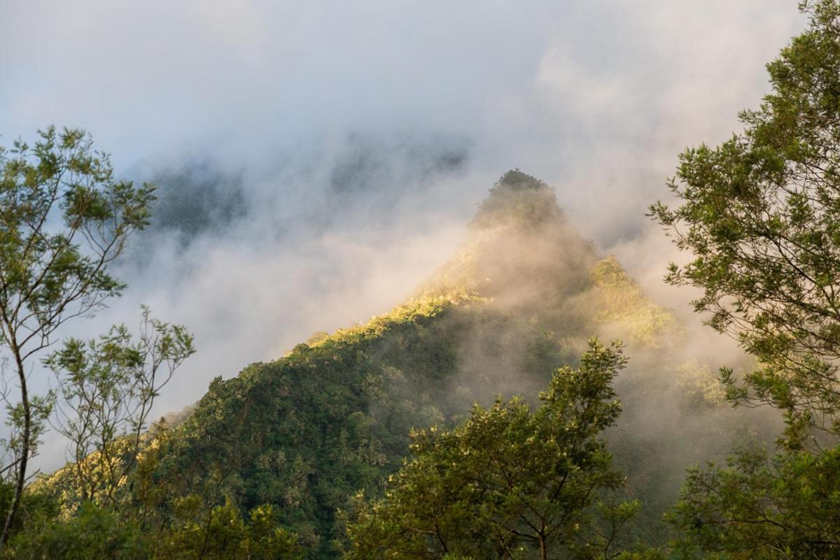 Olatika - Gite Des Cascades Cilaos Kültér fotó
